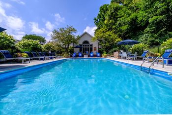 Resort style swimming pool with sun deck